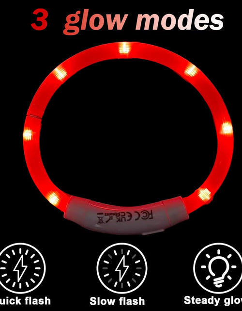 Load image into Gallery viewer, Dog Light up Collar LED Collar Light up Cat Collar USB Rechargeable Collar Christmas Decoration Pet Collar Pet Christmas Gifts
