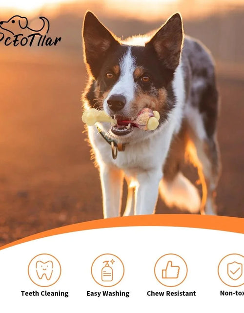 Load image into Gallery viewer, Dog Toys for Aggressive Chewers Large Breed, Beef Flavor Nylon Durable Dog Chew Toys
