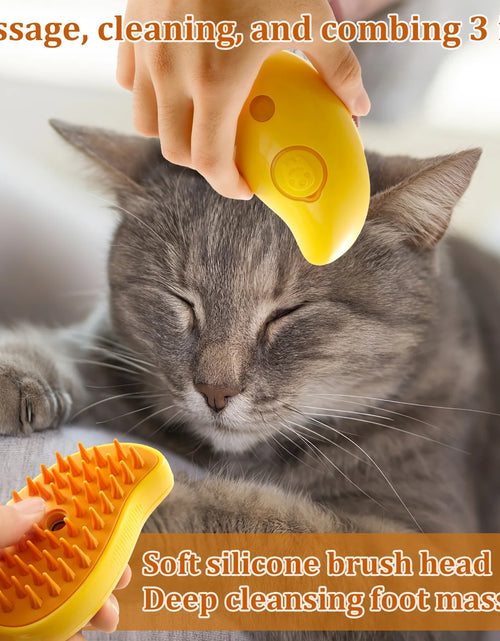 Load image into Gallery viewer, Spray Cat Brush for Shedding 3 in 1 Cat Steamy Brush USB Rechargeable Steamy Cat Brush Efficient Cat Grooming Brush 4.5×2.6×2.4 Inch Cat Steam Brush Self Cleaning Electric Cat Steamer Brush
