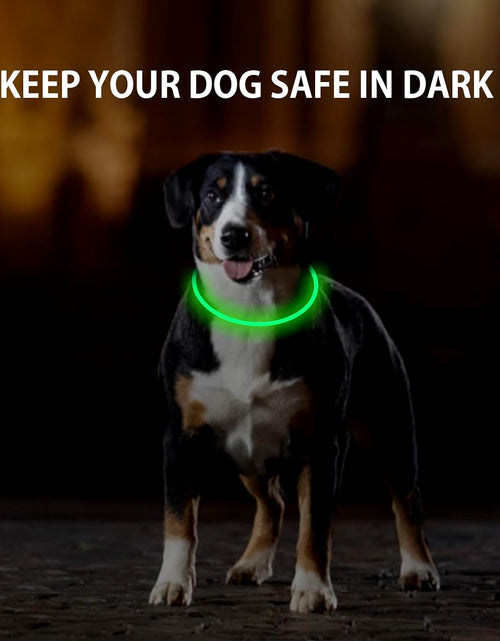 Load image into Gallery viewer, Dog Light up Collar LED Collar Light up Cat Collar USB Rechargeable Collar Christmas Decoration Pet Collar Pet Christmas Gifts
