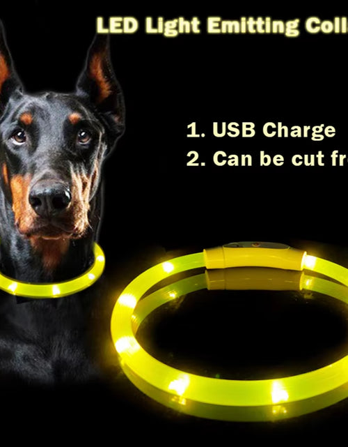 Load image into Gallery viewer, Dog Light up Collar LED Collar Light up Cat Collar USB Rechargeable Collar Christmas Decoration Pet Collar Pet Christmas Gifts
