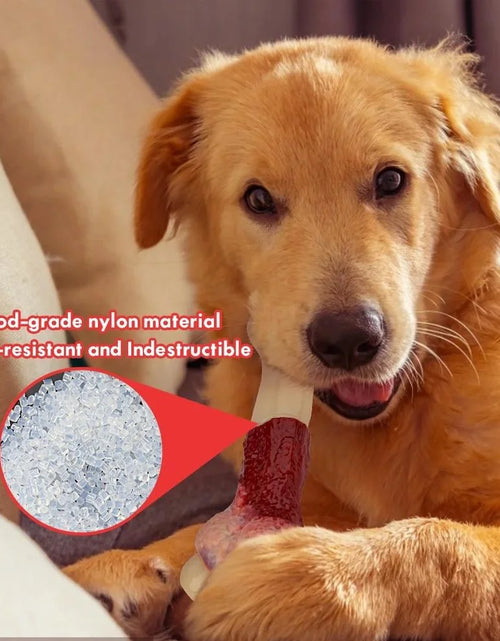 Load image into Gallery viewer, Dog Toys for Aggressive Chewers Large Breed, Beef Flavor Nylon Durable Dog Chew Toys
